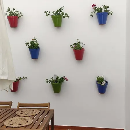 El Rincon De Madera - Centrico En Conil Apartment *